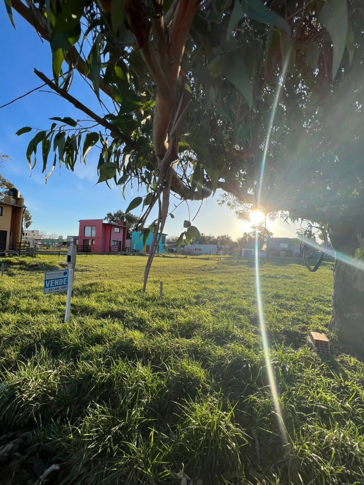 LOTE EN VENTA - CAMET NORTE