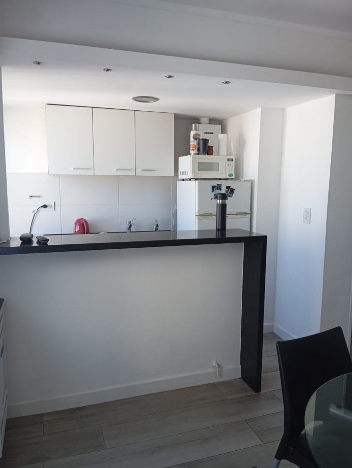 ALQUILER TEMPORADA 2026 - DEPTO DOS AMBIENTES - RECICLADO - PLAZA MITRE