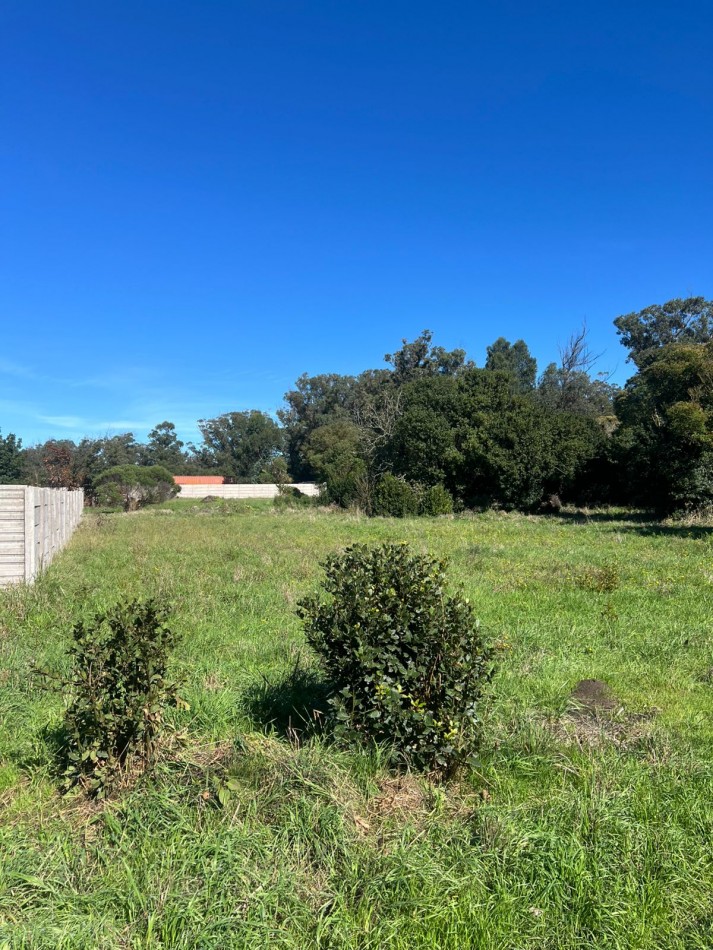 VENTA TERRENO BARRIO PARQUE PEÑA