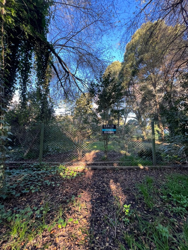 TERRENO EN VENTA COLINA ALEGRE