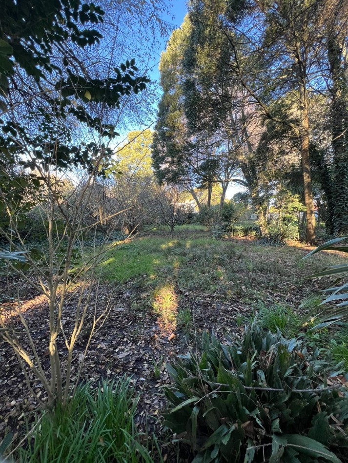 TERRENO EN VENTA COLINA ALEGRE