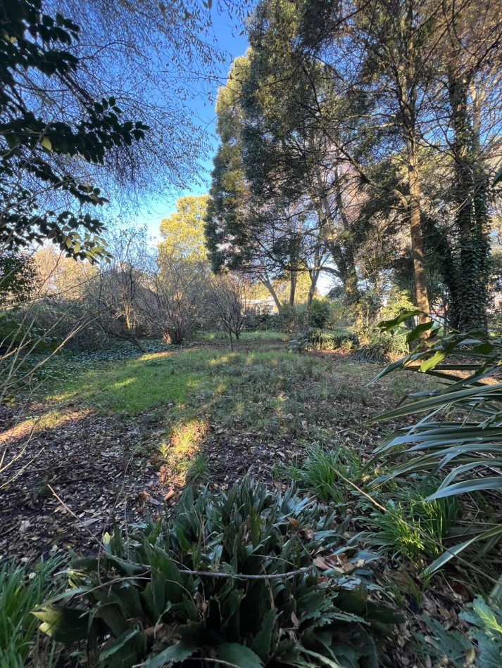TERRENO EN VENTA COLINA ALEGRE