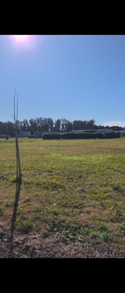 VENTA LOTE EN BARRIO PRIVADO HARAS DEL MAR