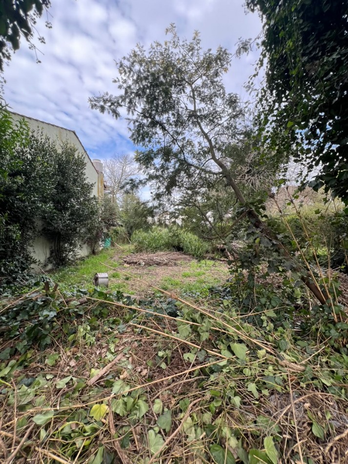 VENTA TERRENO BARRIO LAS MARGARITAS