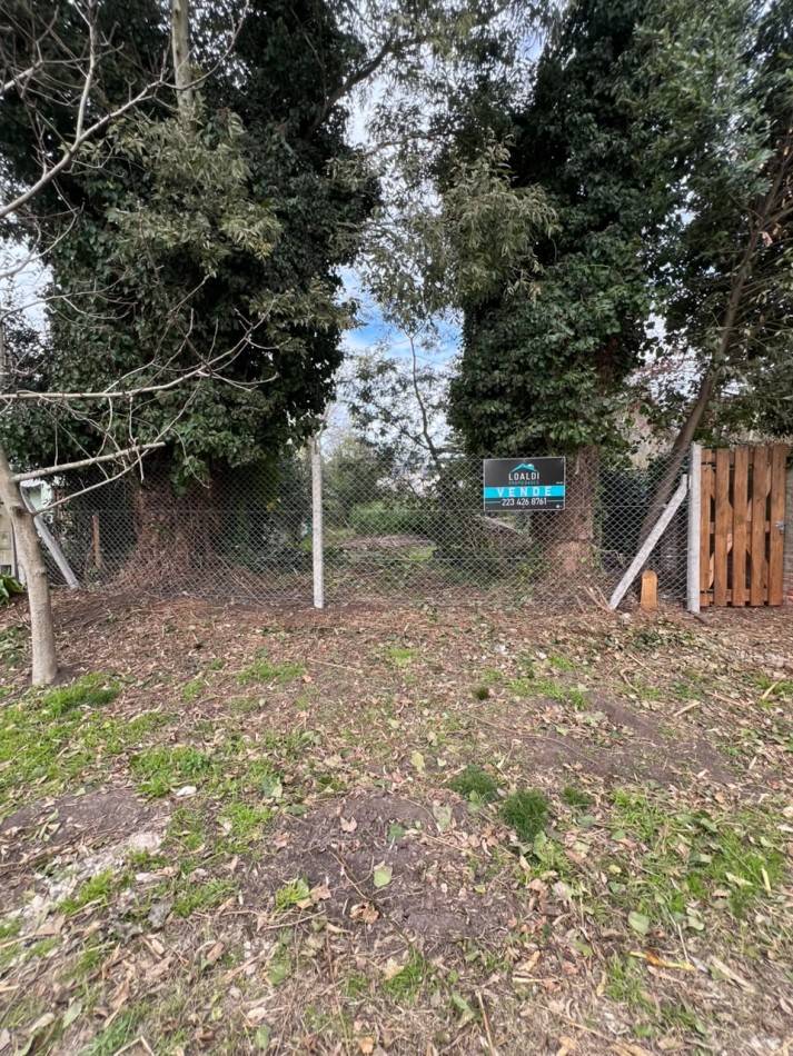 VENTA TERRENO BARRIO LAS MARGARITAS
