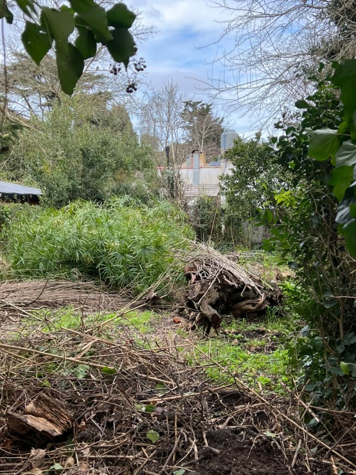 VENTA TERRENO BARRIO LAS MARGARITAS