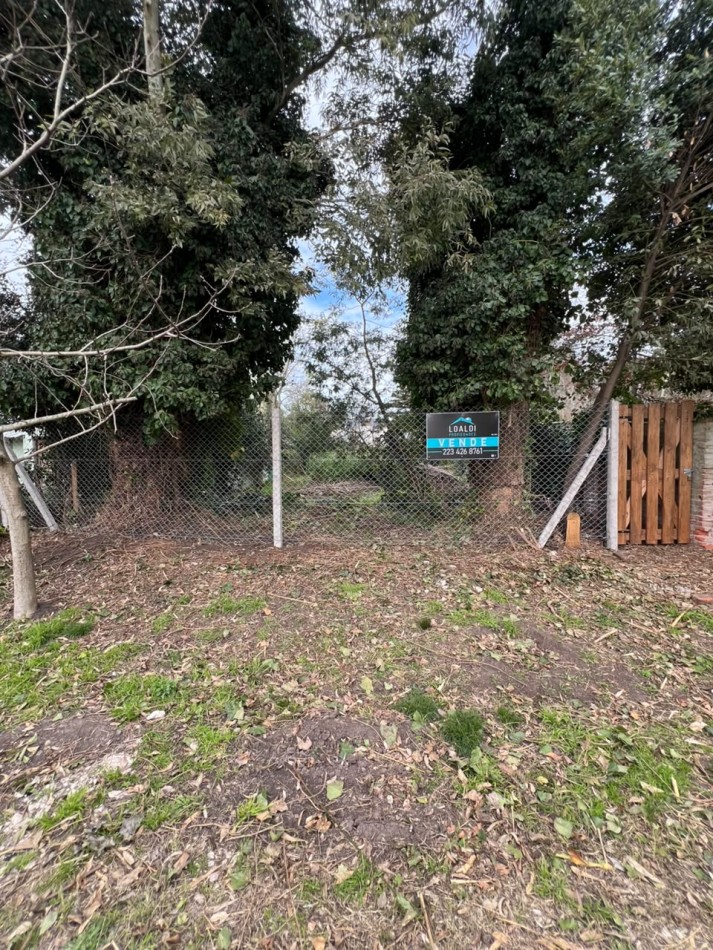 VENTA TERRENO BARRIO LAS MARGARITAS