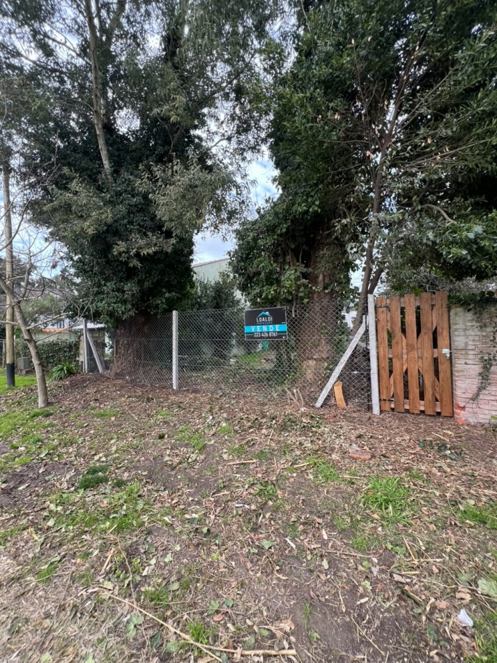 VENTA TERRENO BARRIO LAS MARGARITAS